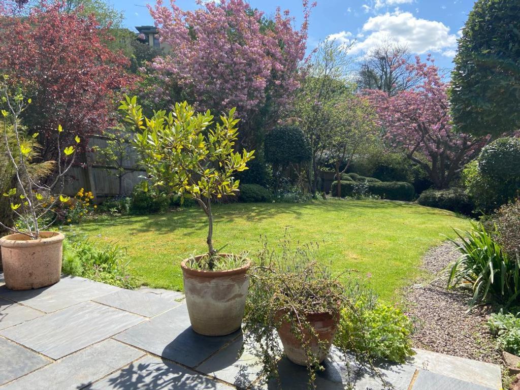 Clifton Garden Flat With Parking Διαμέρισμα Μπρίστολ Εξωτερικό φωτογραφία