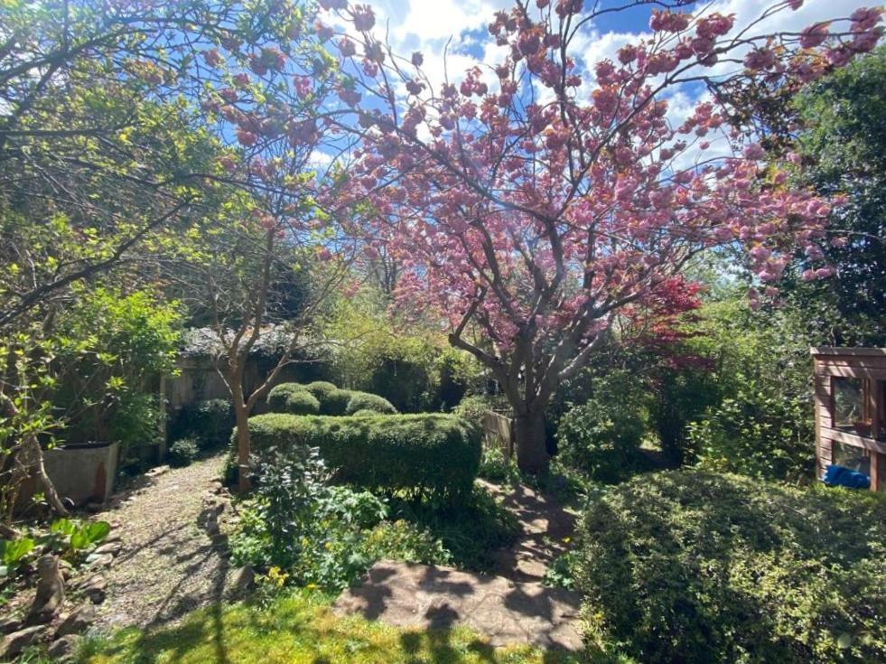 Clifton Garden Flat With Parking Διαμέρισμα Μπρίστολ Εξωτερικό φωτογραφία
